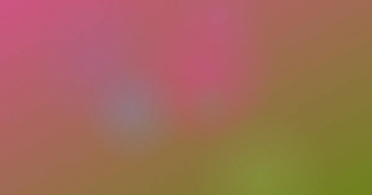 5566影音先锋避坑：认清入口与风险